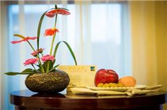 Executive Queen Room