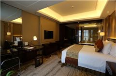 Executive Queen Room