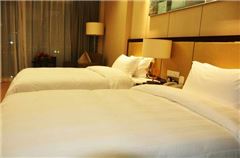 Executive Twin Room