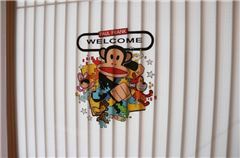 Paul Frank Thematic Room