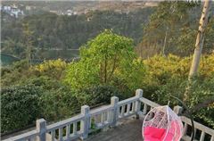 Super Panoramic Queen Room