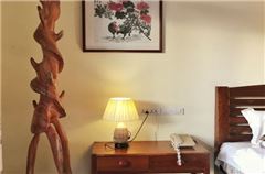 Super Panoramic Queen Room