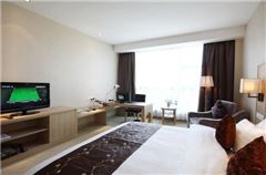 Deluxe Queen Room