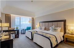 Elegant Twin Room