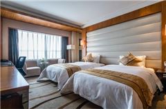 Special Promotion Room