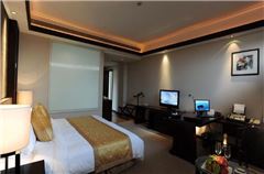 Executive Queen Room