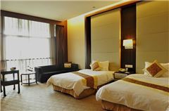 Executive Twin Room