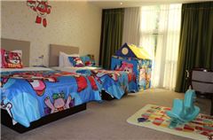 Super Wings Theme Room