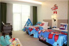 Super Wings Theme Room