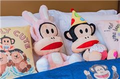 Paul Frank Thematic Room
