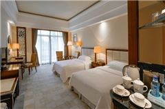 Business Garden-view twin Room