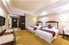 Elegant Twin Room