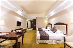 Elegant Twin Room