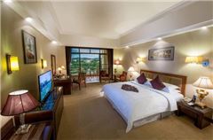 Executive Mountain-view Queen Room
