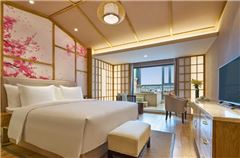 Thematic Hotspring Room