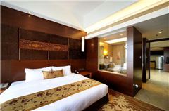Apartment Suite A