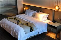 Business Queen Room