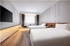 Elegant Twin Room