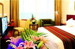 Superior Queen Room