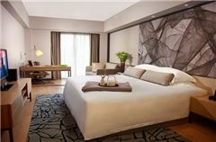 Executive Queen Room