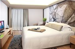 1-bedroom Deluxe Apartment