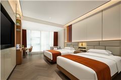 Business Twin Room