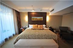Deluxe Business Suite