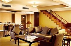Deluxe Business Suite