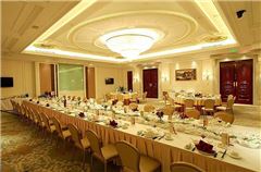 Executive Family Suit