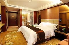 Executive Single Room