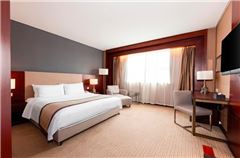 Executive Queen Room