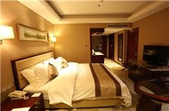 Executive Queen Room