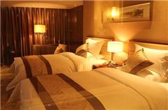 Executive Twin Room