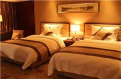 Executive Twin Room