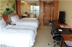 Executive Twin Room