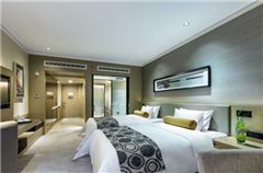 Elegant Twin Room