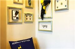 Harry Potter Thematic Family Suite