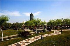 Executive Garden-view Queen Room