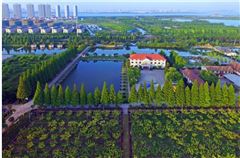 Surroundings
