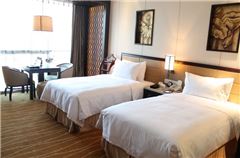 Business Twin Room