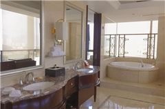 Deluxe Business Suite