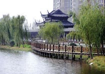 主图片