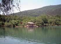 Main photo