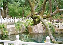 主图片