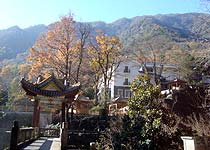 主图片