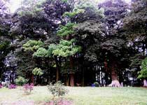 Main photo