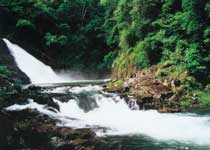 Main photo
