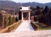 Main photo