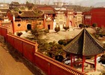 主图片