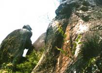 Main photo